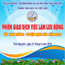 TỔ CHỨC THÀNH CÔNG PHIÊN GIAO DỊCH VIỆC LÀM LƯU ĐỘNG XÃ LINH THÔNG – HUYỆN ĐỊNH HÓA 2019